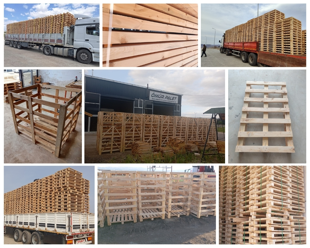 Honselersdijk Houten Kisten, Europallets Groothandel Kopen